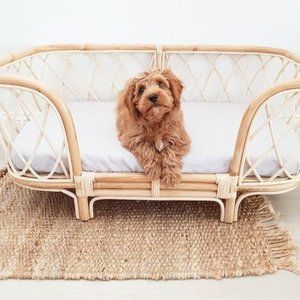 Modern Farmhouse Dog Bed Furniture